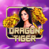 Dragon Tiger Juan Bingo casino